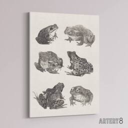 "Artery8 Six Frogs & Toads Pencil Drawing Canvas Wall Art Print Hoytema in White - Size: W18"" x H24""" - thumbnail 2