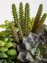 Orsina Mixed Succulent In Stone Effect Pot, Faux Multicoloured Succulent Arrangement In Rustic Grey Planter - thumbnail 4