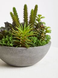 Orsina Mixed Succulent In Stone Effect Pot, Faux Multicoloured Succulent Arrangement In Rustic Grey Planter - thumbnail 5