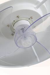 Industrial Style 20‑inch LED Ceiling Fan Lamp in White - thumbnail 6