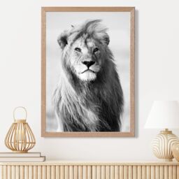 ARTZE Regal Lion Animal Black & White Photo Framed Print SIZE: A4 with Oak Frame - thumbnail 2