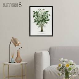 "Artery8 Astrocaryum Murumuru Palm Tree Kerchove Framed Canvas Wall Art Print in White - Size: W18"" x H24""" - thumbnail 3