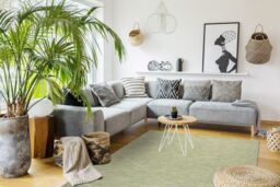 RugsX Patio Rug in Green - Size: 117 cm x 170 cm - thumbnail 4