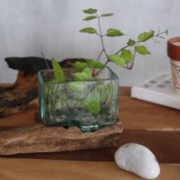 Serenityy Molten Glass Bowl on Wood Stand - Small, Blue - Size: Small - thumbnail 5