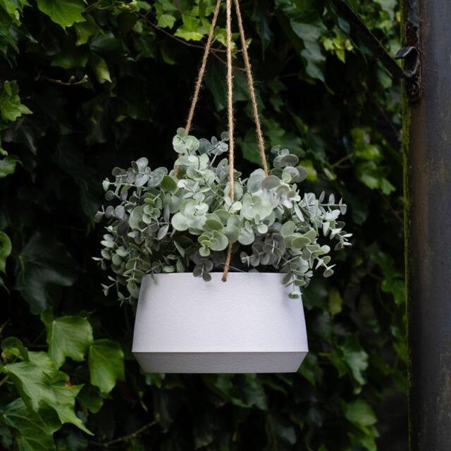 Scottish Everlastings Ltd Outdoor Hanging Eucalyptus in Light Grey Pot in Green - image 1
