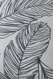 Fusion 'Matteo' Hand Drawn Leaf Print Filled Cushion 100% Cotton in Black - Size: 43 cm x 43 cm - thumbnail 3
