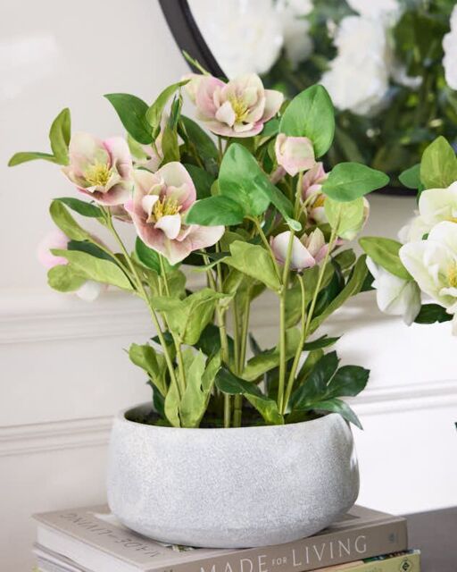 Dibor Pink Hellebore Flowers in Round Blue Flower Vase H41 x Dia38cm - Size: Medium