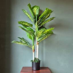 Voltico Artificial Dieffenbachia Tree in Pot 100cm Realistic Indoor Plant in Green - Size: 100 cm - thumbnail 3