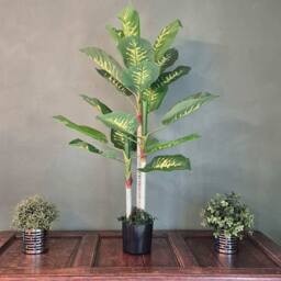 Voltico Artificial Dieffenbachia Tree in Pot 100cm Realistic Indoor Plant in Green - Size: 100 cm - thumbnail 2