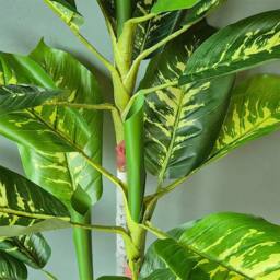 Voltico Artificial Dieffenbachia Tree in Pot 100cm Realistic Indoor Plant in Green - Size: 100 cm - thumbnail 5