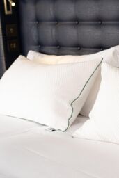 Martian Made Martian Dreams Velistra™ - Ultra Soft Microfibre Hotel Pillows 2 Pack - Standard Size (50x75cm) in White - Size: Super King - thumbnail 4