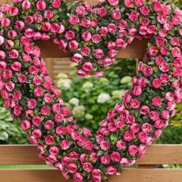 Garden Greatness Jardin Hanging Artificial Rose Heart in Pink - thumbnail 2