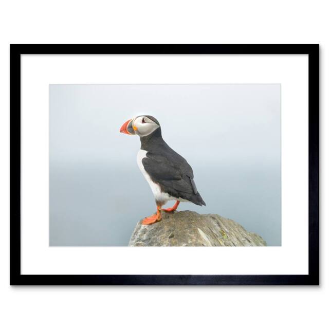 "Artery8 Atlantic Puffin Bird Rock Sea Photo Home Decor 12x16"" Framed Art Print in Blue - Size: W12"" x H16""" - image 1