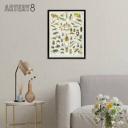 "Artery8 Millot Encyclopedia Page Beetles Insects Framed Canvas Wall Art Print - Size: W12"" x H16""" - thumbnail 3