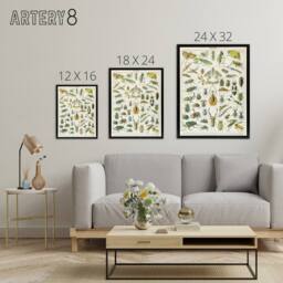 "Artery8 Millot Encyclopedia Page Beetles Insects Framed Canvas Wall Art Print - Size: W12"" x H16""" - thumbnail 4