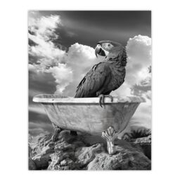 "Artery8 Macaw Parrot Bird on Bathtub Black White Surreal Wall Art Print in Grey - Size: W24"" x H32""" - thumbnail 1