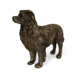 Animal Crackers Border Collie Dog Figurine, Leonardo Reflections Bronzed, Gift Boxed in Bronze - thumbnail 5