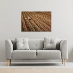 Benjamin Tate Design Aerial view of hay bale fields (Canvas Print) / 46 x 31 x 4cm in Natural - Size: 46 x 31 x 4 cm - thumbnail 1
