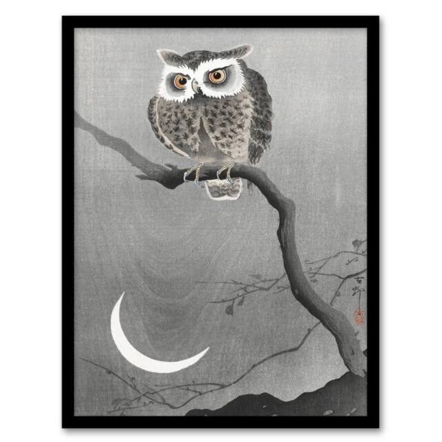 Artery8 Ohara Koson Framed Wall Art Print Long Eared Owl On Tree Branch in Grey - Size: A4 - image 1