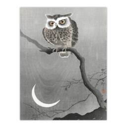 Artery8 Ohara Koson Framed Wall Art Print Long Eared Owl On Tree Branch in Grey - Size: A4 - thumbnail 3