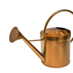 Ivyline Indoor Kensington Traditional Copper Watering Can, H25cm x W40cm - thumbnail 2