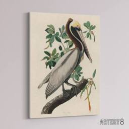 "Artery8 Audubon Birds Of America Pelican Canvas Wall Art Print - Size: W18"" x H24""" - thumbnail 2