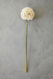 Orsina Kids Rugs Jute Rug, Handmade, Contemporary in White - thumbnail 6