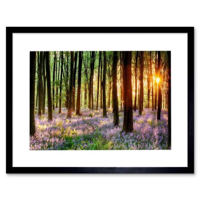"Artery8 Bluebell Wood Sunrise Trees Photograph 12x16"" Framed Art Print - Size: W12"" x H16""" - image 1