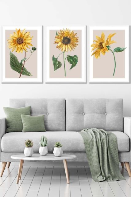 ARTZE Set of 3 White Framed Vintage Sunflowers on Beige Wall Art in Bright Yellow - Size: W33 cm x H45 cm x D20mm - image 1