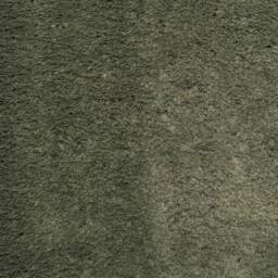 Berkfield Home Rug HUARTE Short Pile Soft & Washable Forest Green 120x120 cm - Size: Medium - thumbnail 9