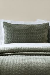 Bianca 'Attica Velvet' Embroidered Pillow sham Pair in Green - Size: Standard Pillow Case
