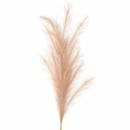 Lemon Pavilion Furniture and Decor Large Faux Pampas Grass Stem Artificial Plant - Beige - thumbnail 2