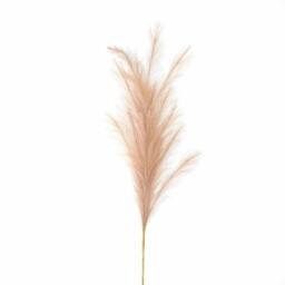 Lemon Pavilion Furniture and Decor Large Faux Pampas Grass Stem Artificial Plant - Beige - thumbnail 1