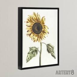 "Artery8 Sunflower Vintage Flower Painting Teyler Black Framed Canvas Wall Art in White - Size: W12"" x H16""" - thumbnail 2