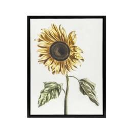 "Artery8 Sunflower Vintage Flower Painting Teyler Black Framed Canvas Wall Art in White - Size: W12"" x H16""" - thumbnail 1