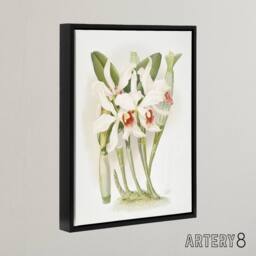 "Artery8 Frederick Sander Laelia Euspatha Orchid Flowers Framed Canvas Art - Size: W12"" x H16""" - thumbnail 2