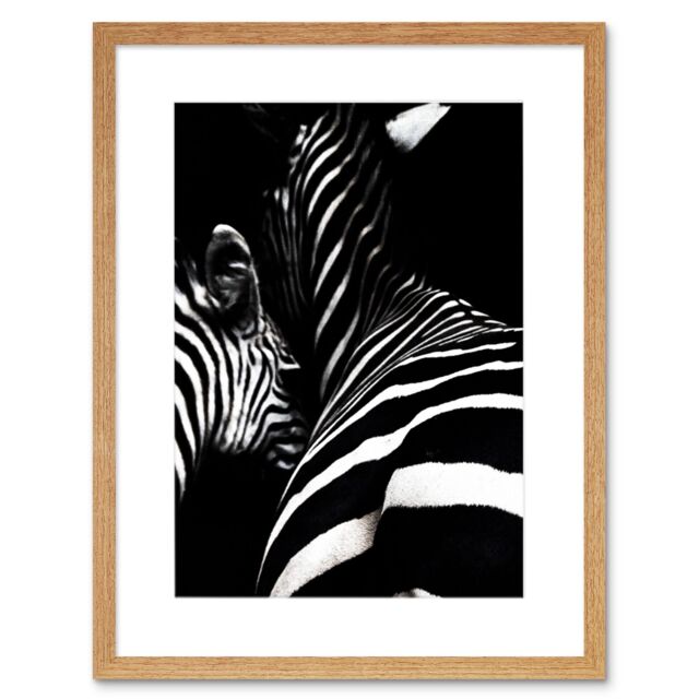 "Artery8 Wall Art Print Zebra Black & White Photo Art Black Framed 9x7 inch in Beige - Size: W7"" x H9""" - image 1