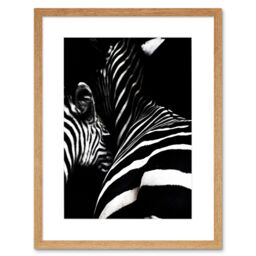 "Artery8 Wall Art Print Zebra Black & White Photo Art Black Framed 9x7 inch in Beige - Size: W7"" x H9""" - thumbnail 1