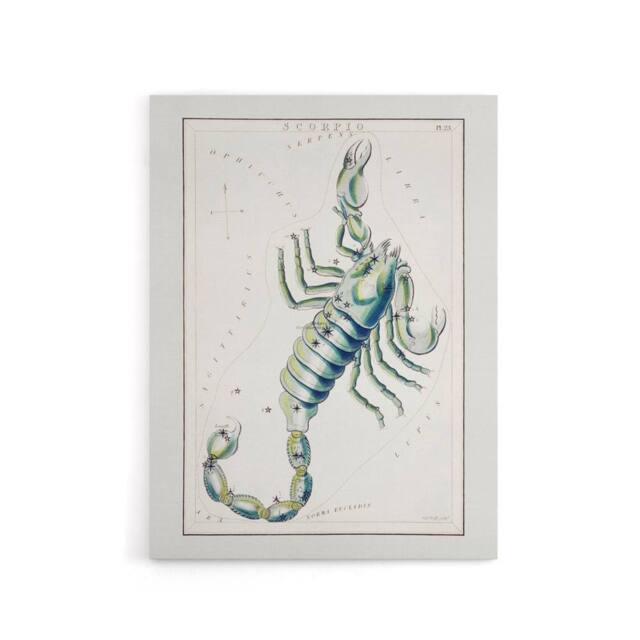 "Artery8 Astronomical Chart illustration of Scorpio Hall Canvas Wall Art Print in White - Size: W18"" x H24""" - image 1