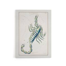 "Artery8 Astronomical Chart illustration of Scorpio Hall Canvas Wall Art Print in White - Size: W18"" x H24""" - thumbnail 1