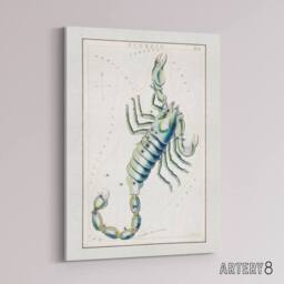 "Artery8 Astronomical Chart illustration of Scorpio Hall Canvas Wall Art Print in White - Size: W18"" x H24""" - thumbnail 2