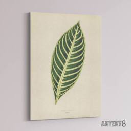 "Artery8 Vintage Botanical Tiger Plant Leaf Fawcett Canvas Wall Art in Beige - Size: W18"" x H24""" - thumbnail 2