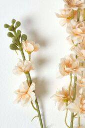 Homescapes Peach Stock Flower Spray Single Stem 87 cm in Orange - thumbnail 3