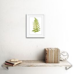"Artery8 Wall Art Print Fern Polypodium Vulgare Art Framed 9x7 inch in White - Size: W7"" x H9""" - thumbnail 2