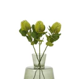 Lemon Pavilion Furniture and Decor Banksia (Single Stem Flower) - Plastic - Height 59 cm - Green - thumbnail 3