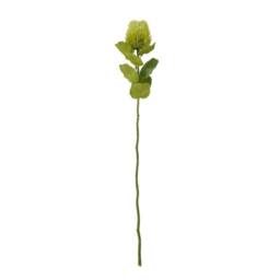 Lemon Pavilion Furniture and Decor Banksia (Single Stem Flower) - Plastic - Height 59 cm - Green - thumbnail 1