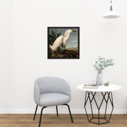 "Artery8 Wall Art Print Audubon Birds Snowy Heron Painting Square Framed Picture 16X16 Inch in Black - Size: W16"" x H16""" - thumbnail 2