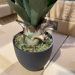 Leaf 70cm Agave Tropical Yucca Artificial in Green - thumbnail 5