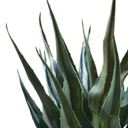 Leaf Tropical Yucca Artificial Plant 70cm Agave Large in Green - thumbnail 2