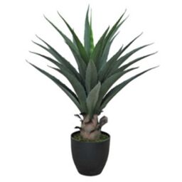 Leaf 70cm Agave Tropical Yucca Artificial in Green